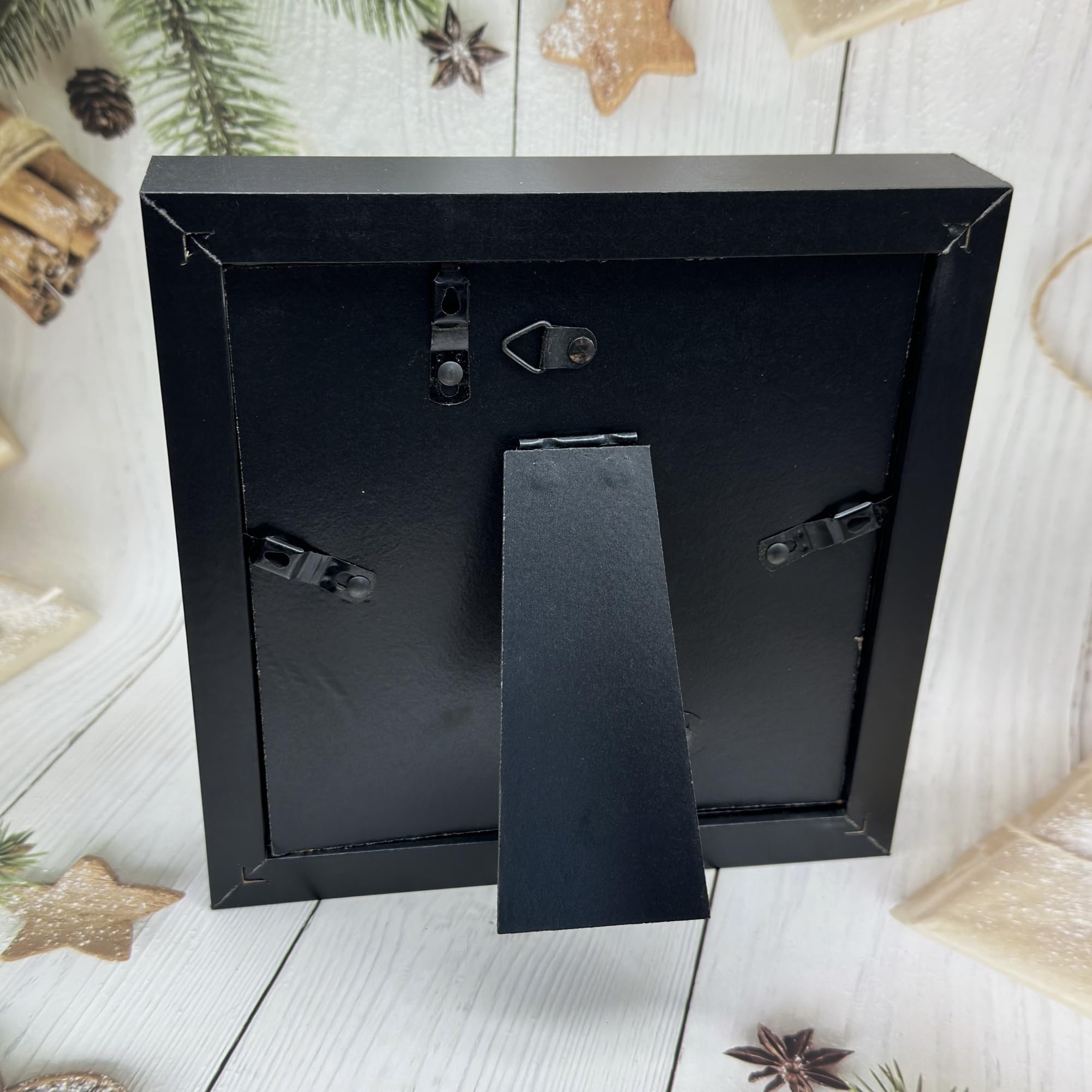 Walter Products B10504 Prokaryotic Bacteria Cell Model