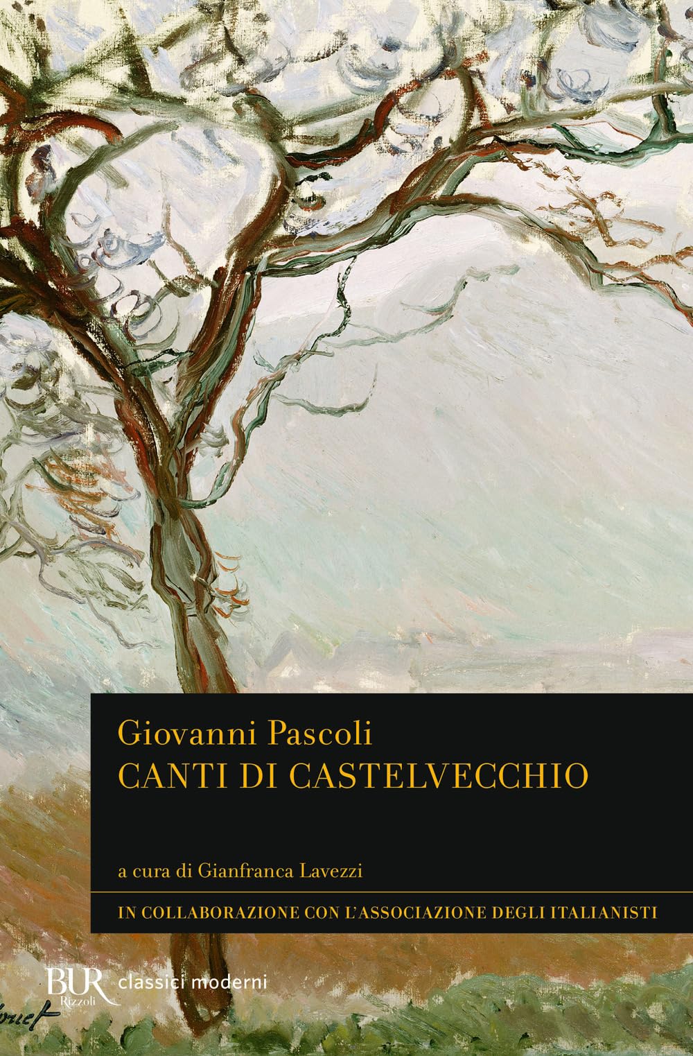 Canti Di Castelvecchio - 4
