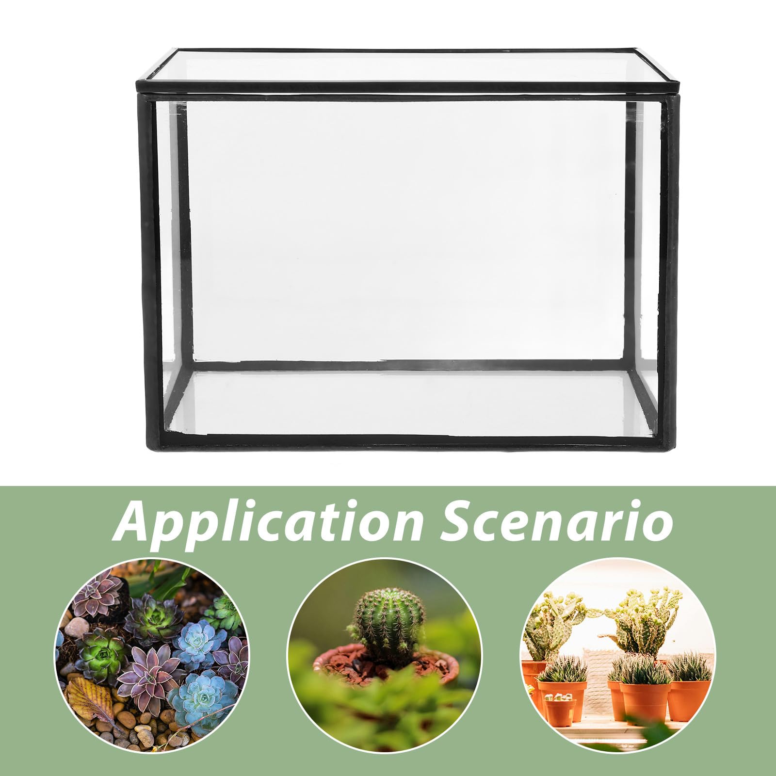 Terrario de Plantas Suculentas de Vidrio Transparente para Decoración, Recipiente Pequeño y Creativo para Jardín o Regalo, Estilo Natural y Artístico
