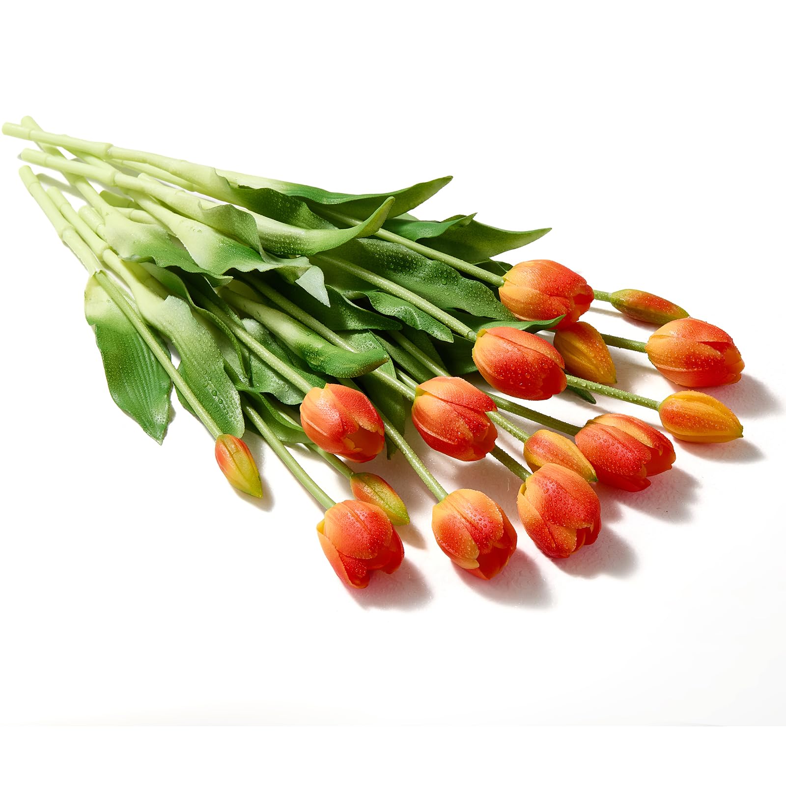 Pmyra 15-Pack Orange Tulips