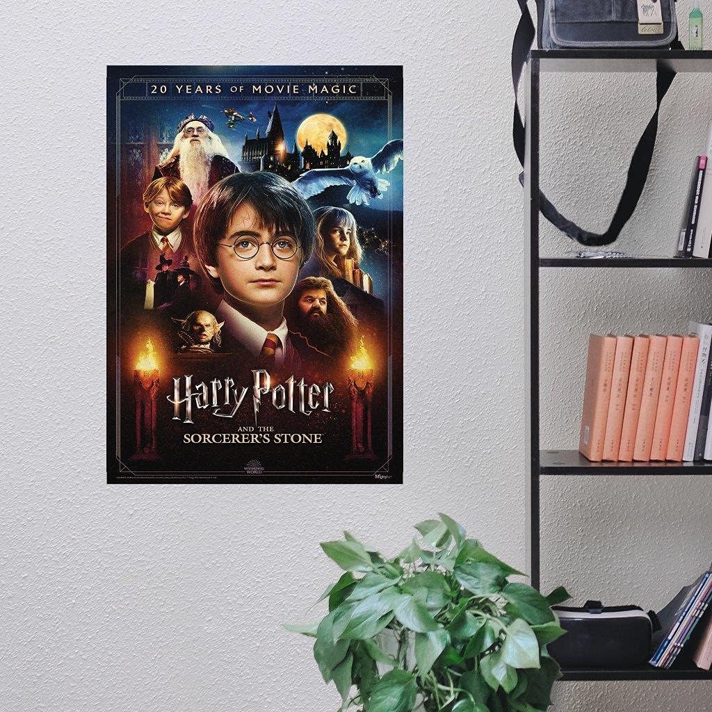 MIGHTYPRINT Harry Potter and the Sorcerer's Stone 20th Anniversary – Durable 17” x 24 Wall Art – NOT Made of Paper – Officially Licensed Collectible MP17240699