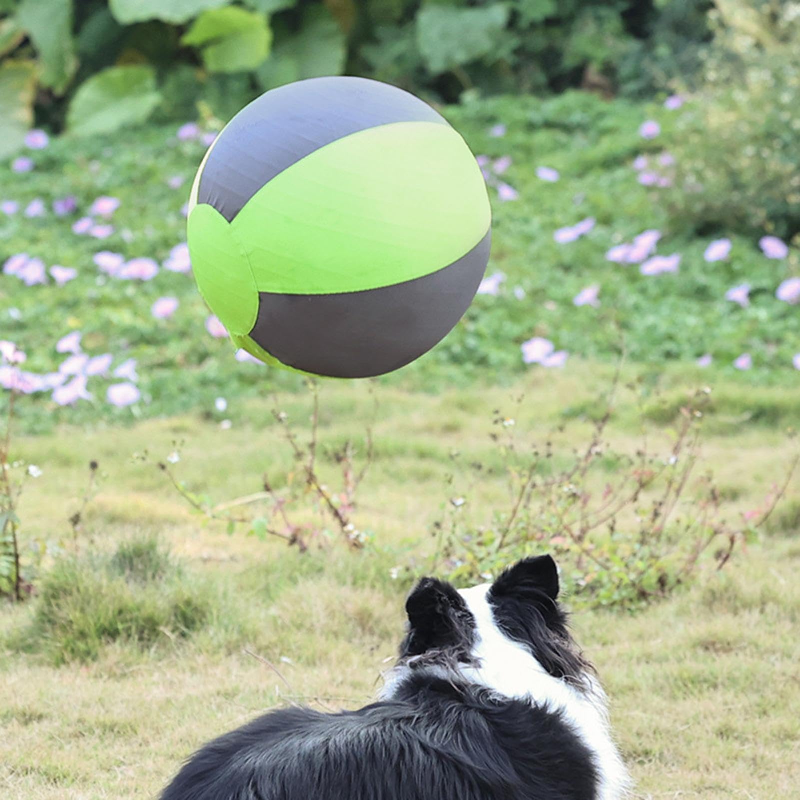 Pelota Pastoreo Perros Mordedor Inflable Cachorros | Pelota De Entrenamiento Para Cachorros Dueños de mascotas, amantes de animales, entrenadores, patio, jardín, parque, piscina