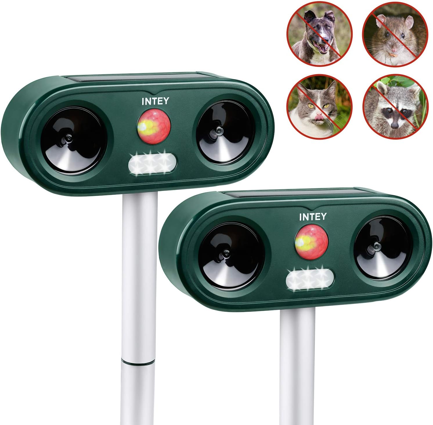 repellenti per le talpe di gatto