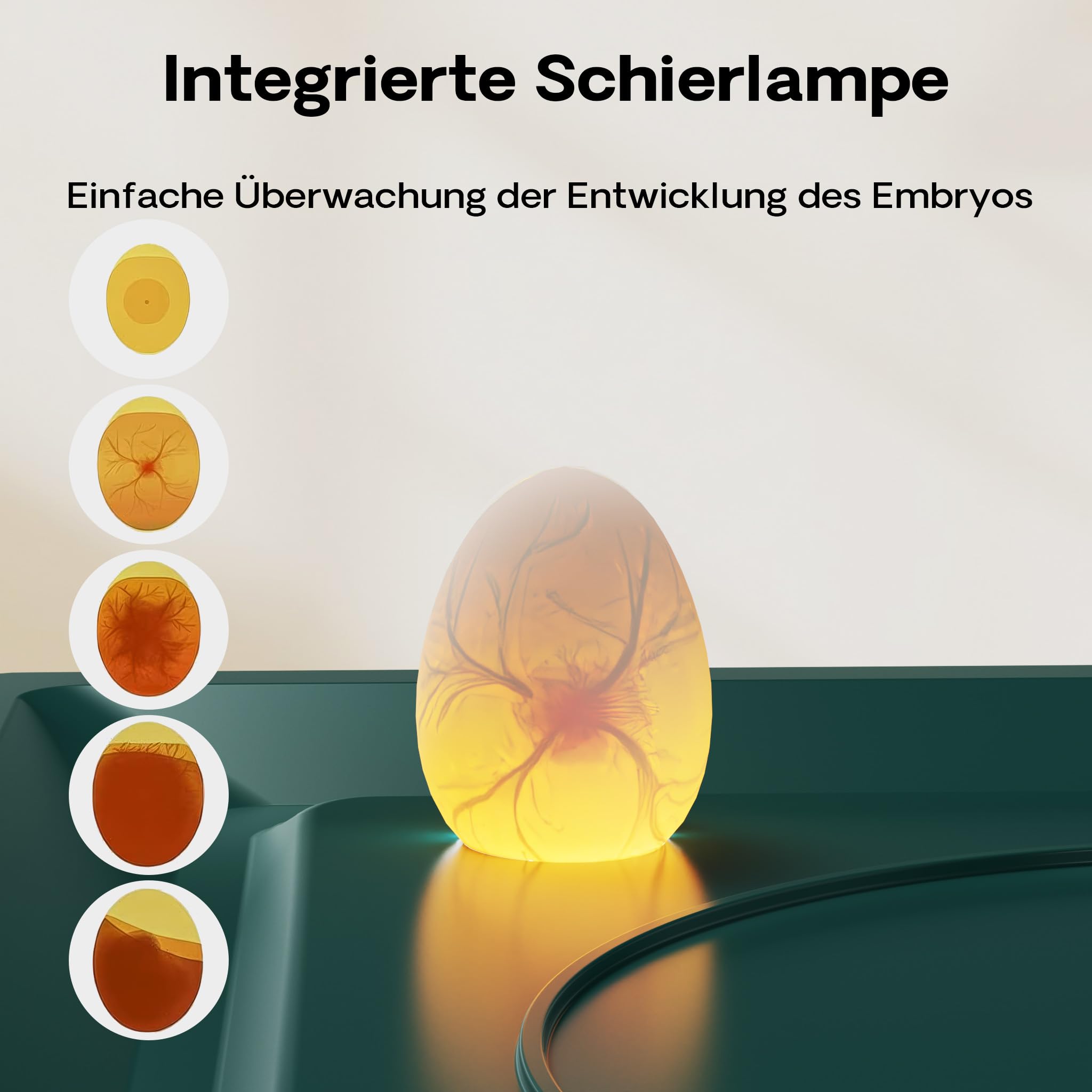 Fudajo Incubatrice per uova automatica, incubazione per 15 uova, 40 W con sistema di rotazione, controllo della temperatura e regolazione dell'umidità, allevamento pulcini