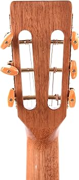 Amazon | タカミネ ニューヨーカー 音響電気ブラウンサンバースト