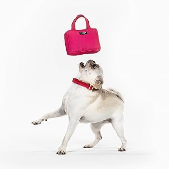 Pet Supplies : kate spade new york Cute Plush Dog Toy with
