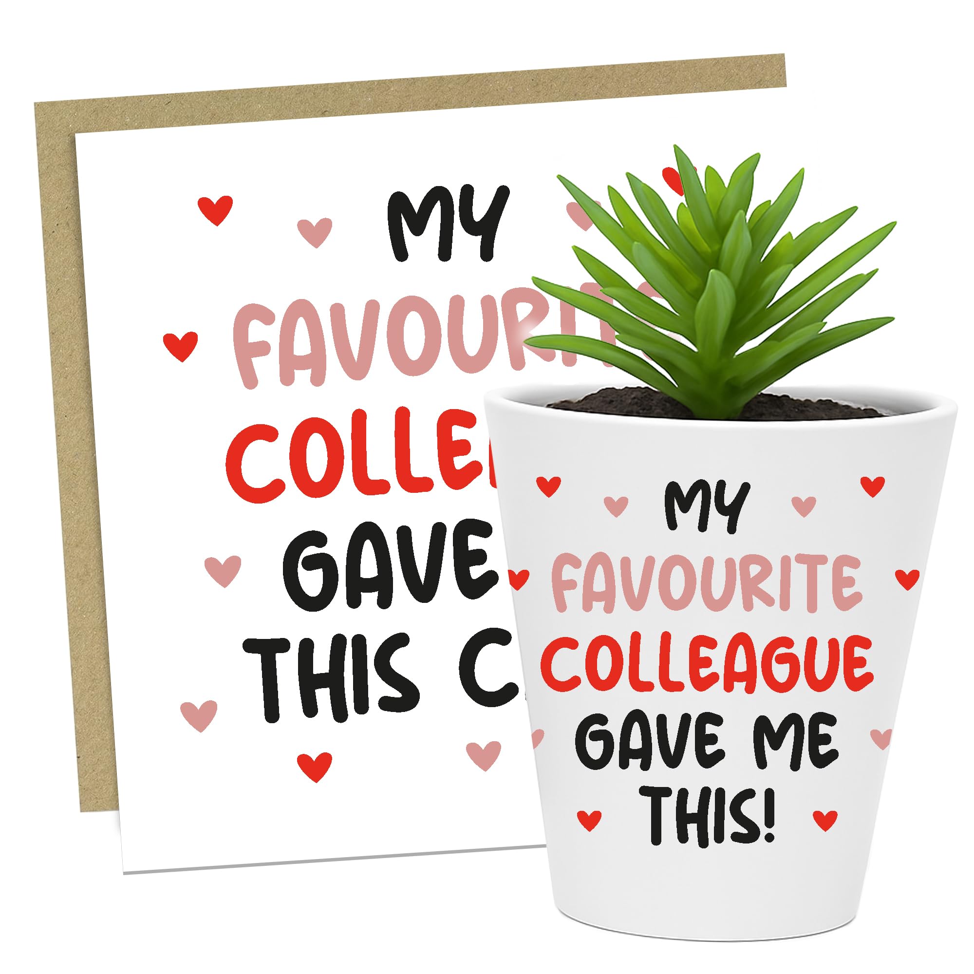 RED OCEAN Gift For Colleague Funny Plant Pot And Card Gift For Him Her Card Colleague Leaving Christmas Birthday Co Worker Best Friend Goodbye Present