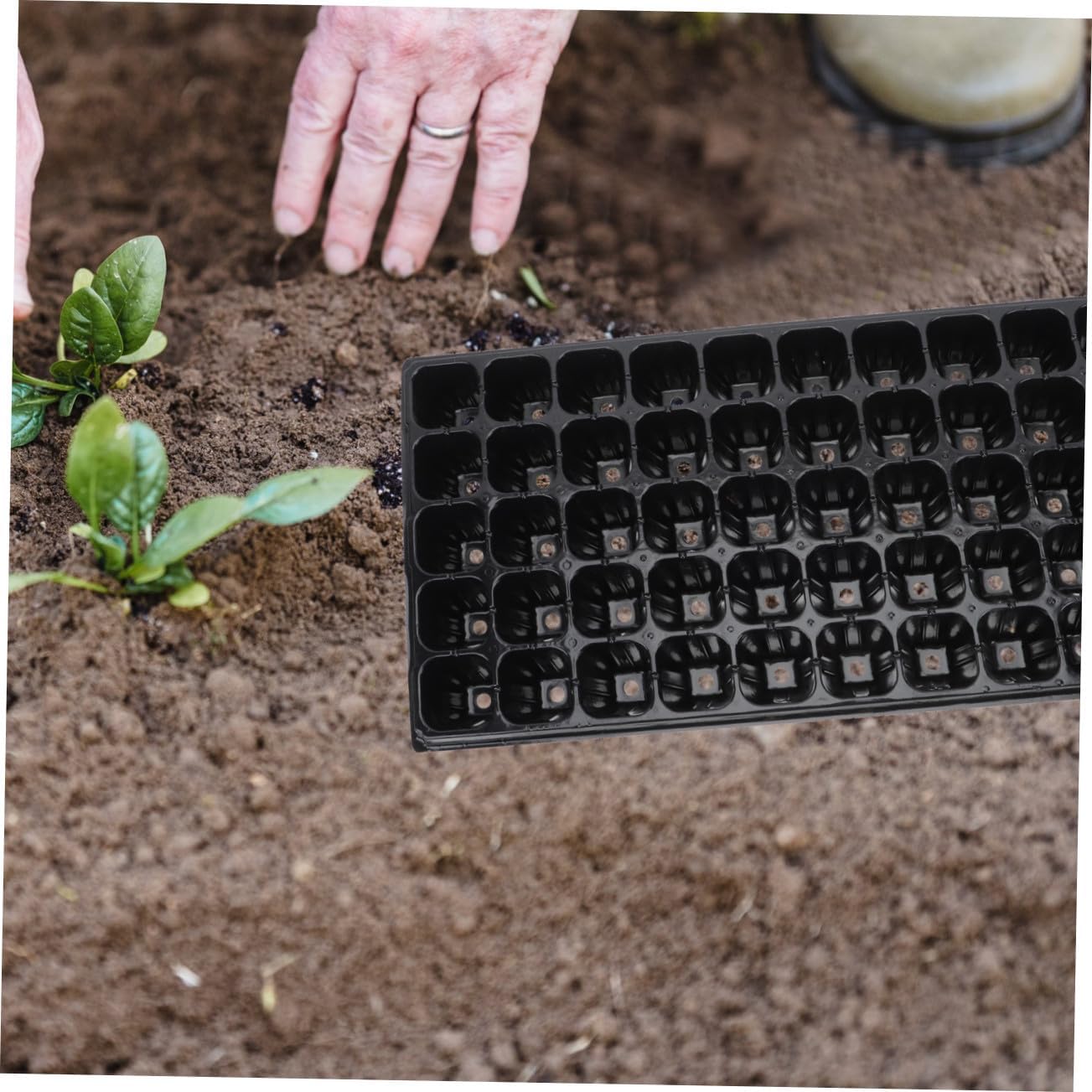 10pcs Heavy Duty Nursery Trays for Plant Germination Plates for Plants Vegetables Flowers for Easy Use Storage