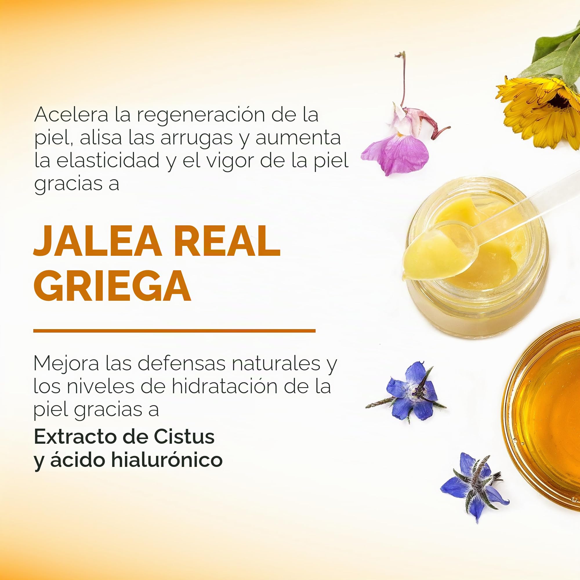 APIVITA QUEEN BEE SERUM ANTIENVEJECIMIENTO | CON JALEA REAL GRIEGA FRESCA | 30ML