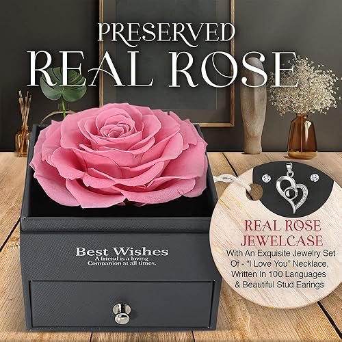 Miniatura 2 de GLAMOUR BOUTIQUE Rosa real preservada en una caja de regalo con juego de regalo de flores encantadas, regalos para ella, regalo para mamá, hija,