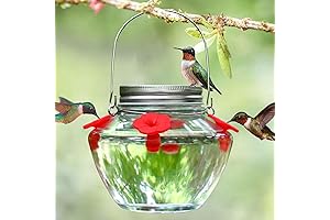 Leak-Proof Bird Feeder with Easy-Fill Design