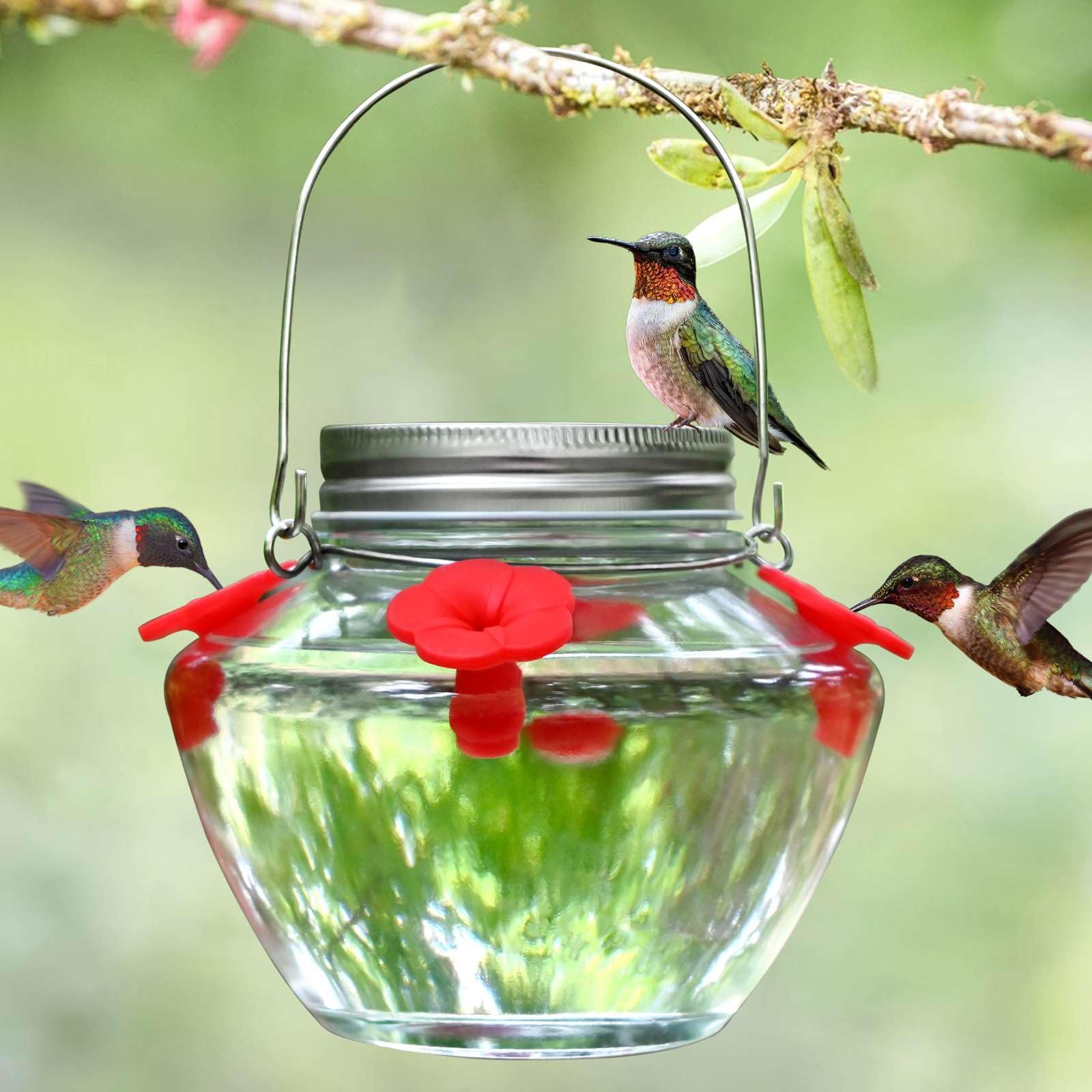 Mason Jar Hummingbird Feeder for Outdoors Hanging, Top Fill Leak-Proof Design with 4 Feeding Ports Easy to Use and Clean, Silicone Flowers and Heavy Duty Glass
