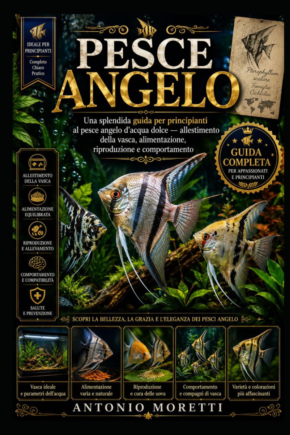 PESCE ANGELO: Una splendida guida per principianti al pesce angelo d’acqua dolce — allestimento della vasca, alimentazione, riproduzione e comportamento