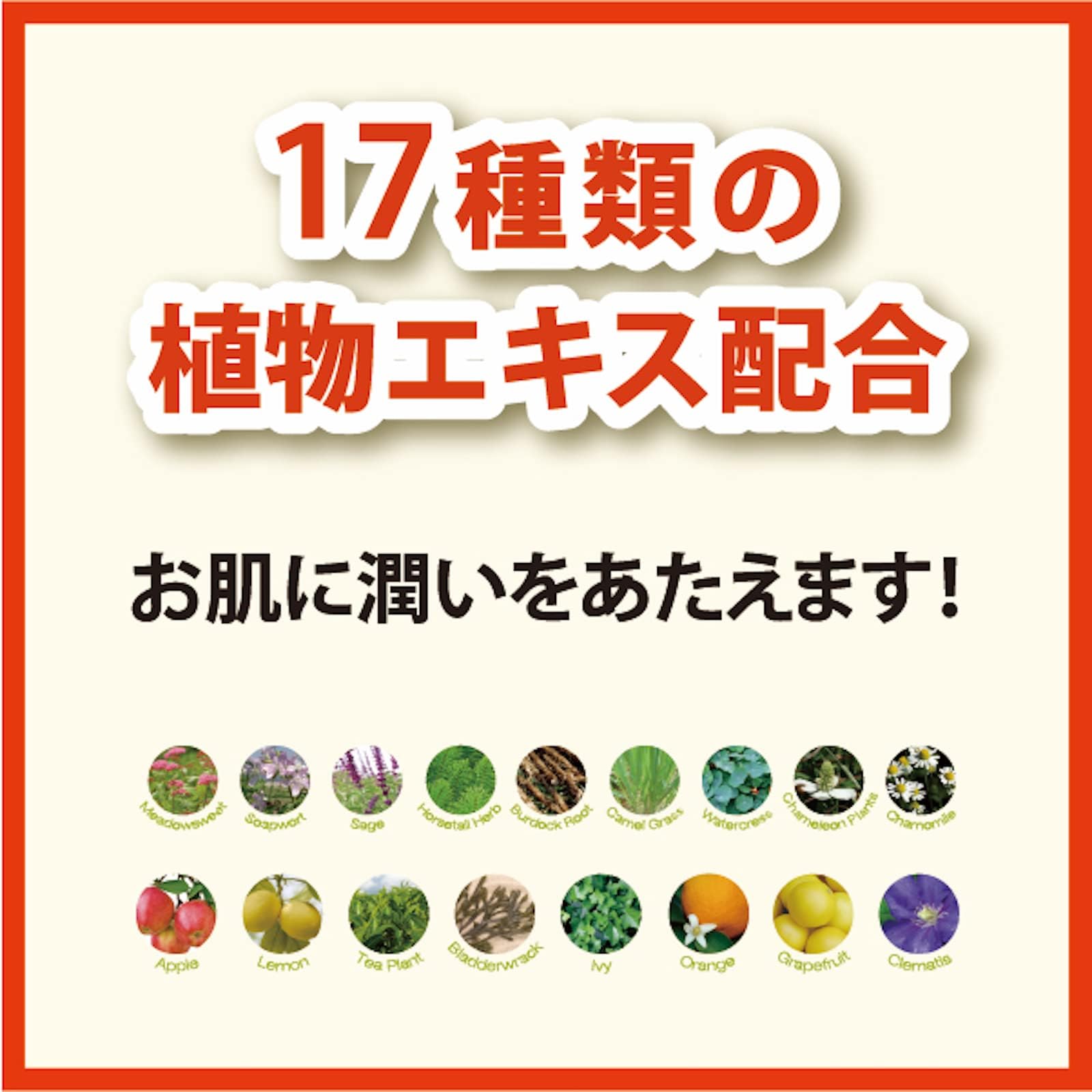 Amazon.co.jp: ベビーフット (Baby Foot) イージーパック 60分タイプ S