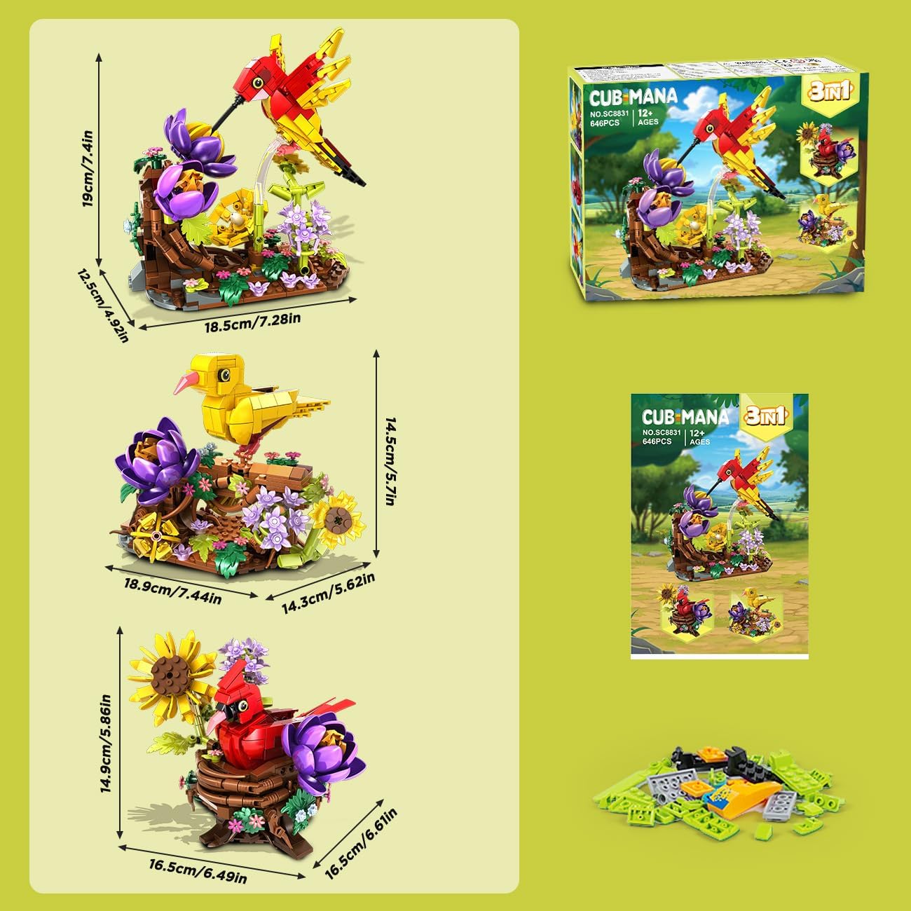 Diagram showing dimensions of the three assembled bird models