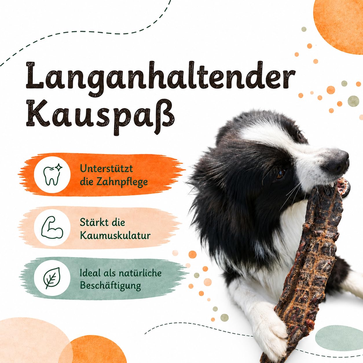 Hundesnack Pferdefleisch getrocknet, 100% natürliches Pferd Hundeleckerli Kauartikel, hypoallergene Belohnung & Trainingssnack für Hunde, Monoprotein, getreidefrei, ohne Zusatzstoffe (1kg)