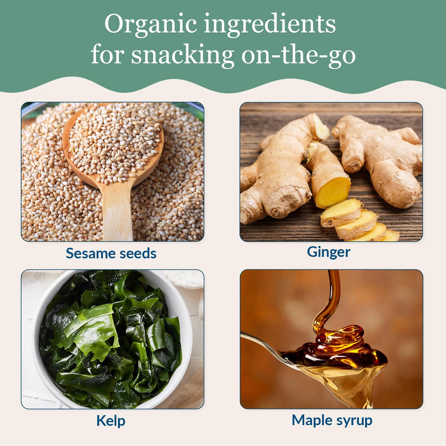 Maine Coast Sea Vegetables Kelp Krunch Ginger Sesame Bars | Organic Sesame Ginger Snacks | Crunchy Seed Bars with Wild-Harvested Kelp | Gluten-Free, Dairy-Free, Vegan | 1 LB Bulk Pack (Unwrapped)