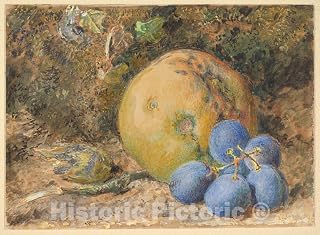 Historic Pictoric Art Print : William Henry Hunt - an Apple, Grapes and a Hazelnut on a Mossy Bank : Vintage Wall Décor : 24in x 18in