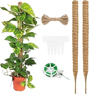 2 Pieces Moss Pole for Cheese Plant,Plant Pole,Plant Sticks Support,Plant Moss Pole,with 1 Roll of Tie,1 Hemp Rope,and 5 Gardening Labels,for Cheese Plants,Supporting Upward Growth of Plants