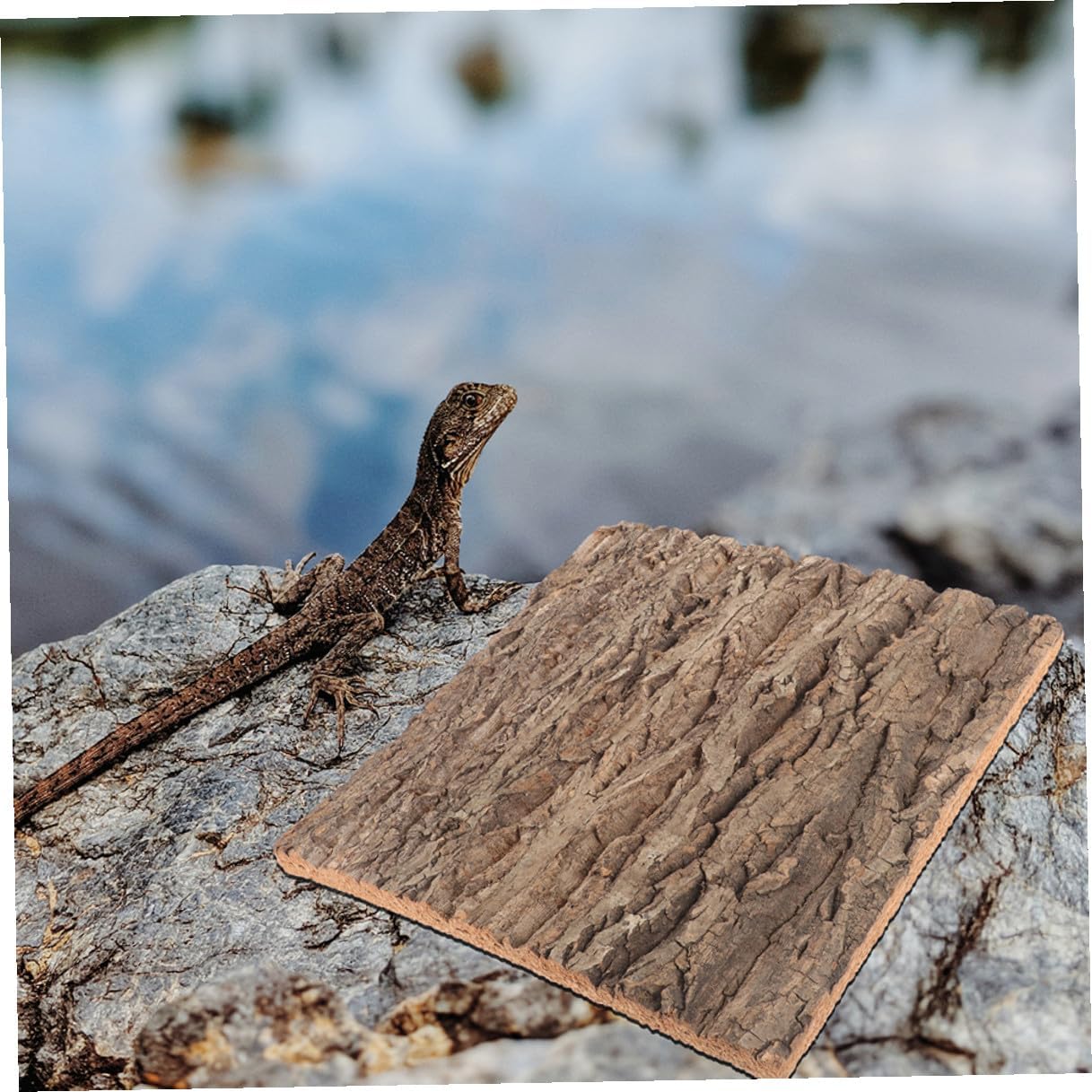 2pcs Authentic Cork Bark Wall Panel with Backboard for Reptile Tanks and Terrariums Natural Tree Bark Decor with Green Plant Design Easy Installation Aquarium Background for Home