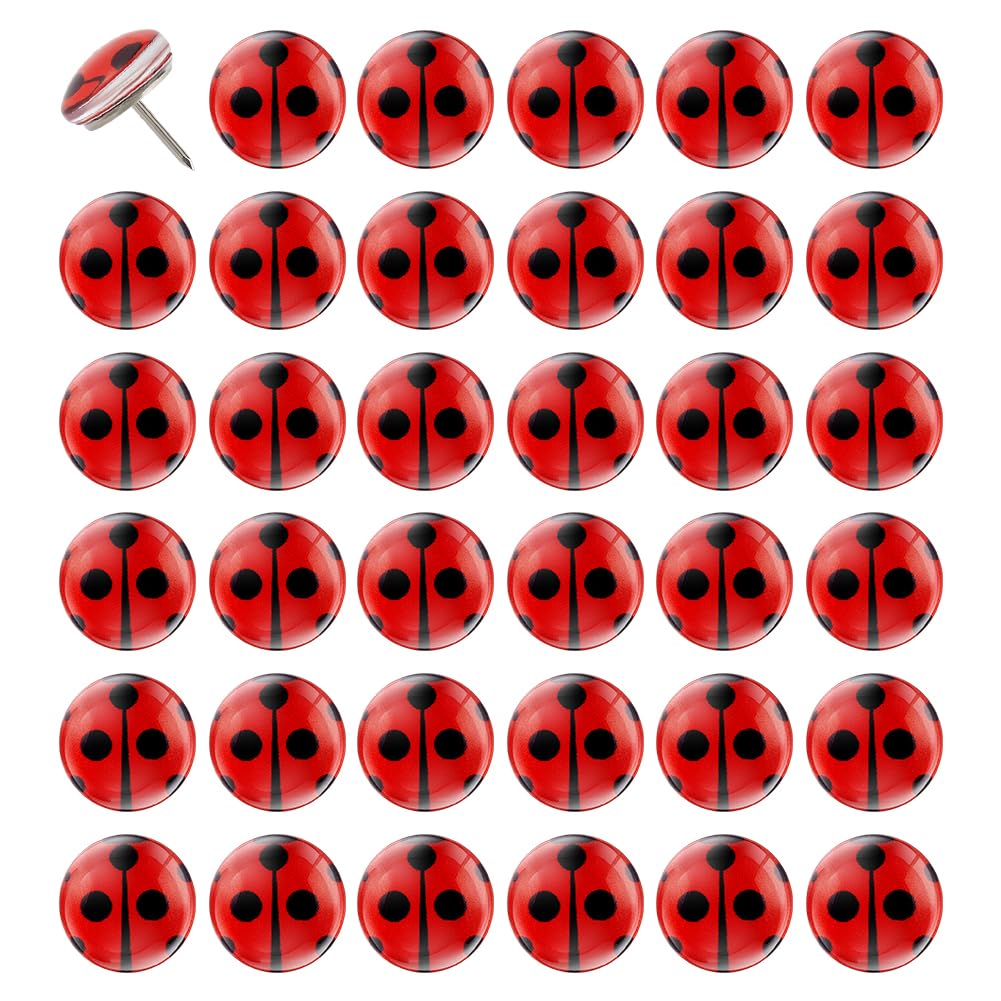 PH PandaHall 40PCS Ladybug Thumb Tacks 14.4mm Cute Insect Push Pins Round Dome Lampwork Drawing Pin Red Ladybug Decorative Pushpins for Cork Boards Bulletin Board Map Message Photo Postcard Note Paper