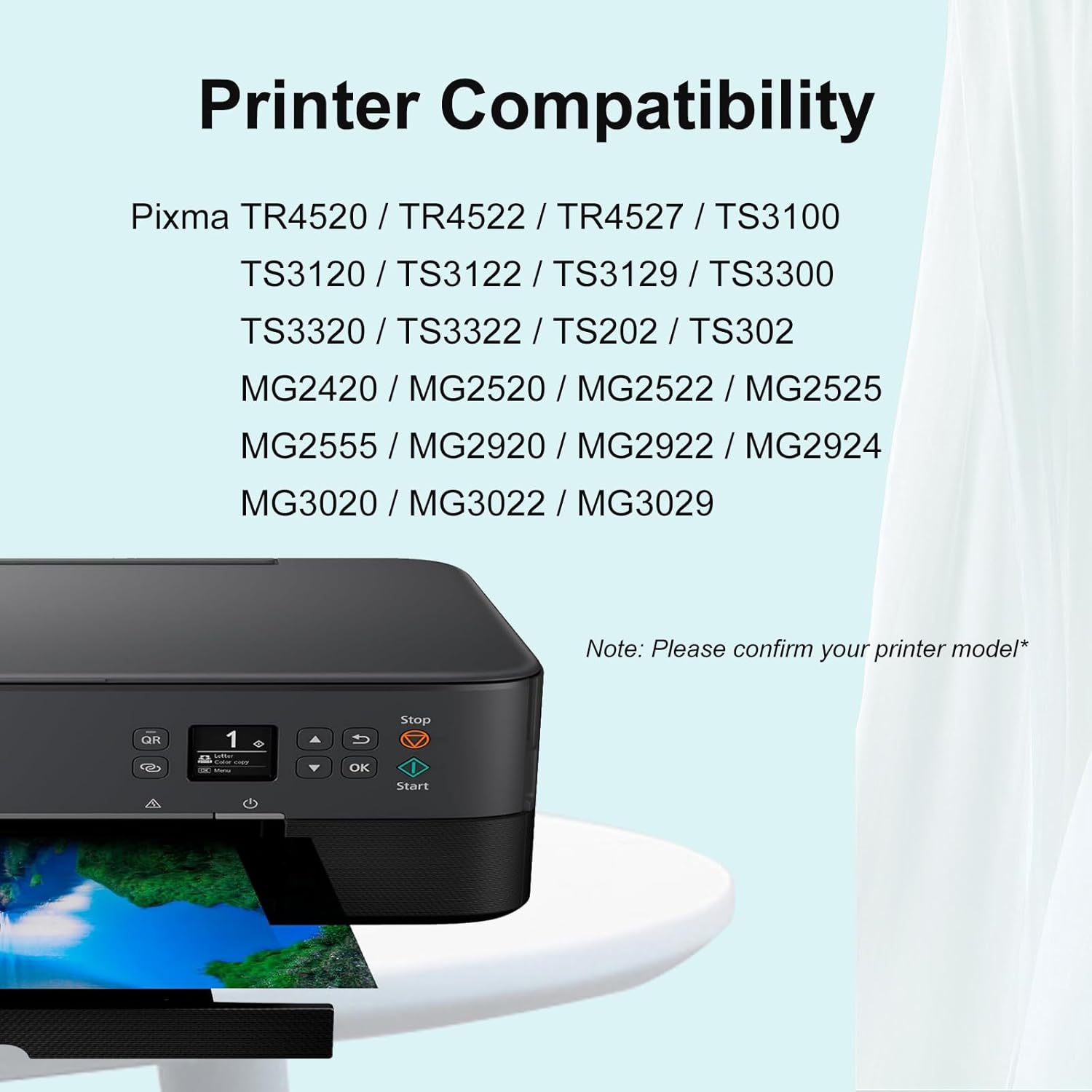 245XL Ink Cartridge Compatible for Canon 245XL Black Ink Replacement for Cannon 245xl/black Work with PIXMA MG2522 MX490 MX492 TR4520 TS3322 TR4522 TR4500 TS3122 TS3300 Printer (2 Black)