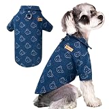 Ver la foto 8