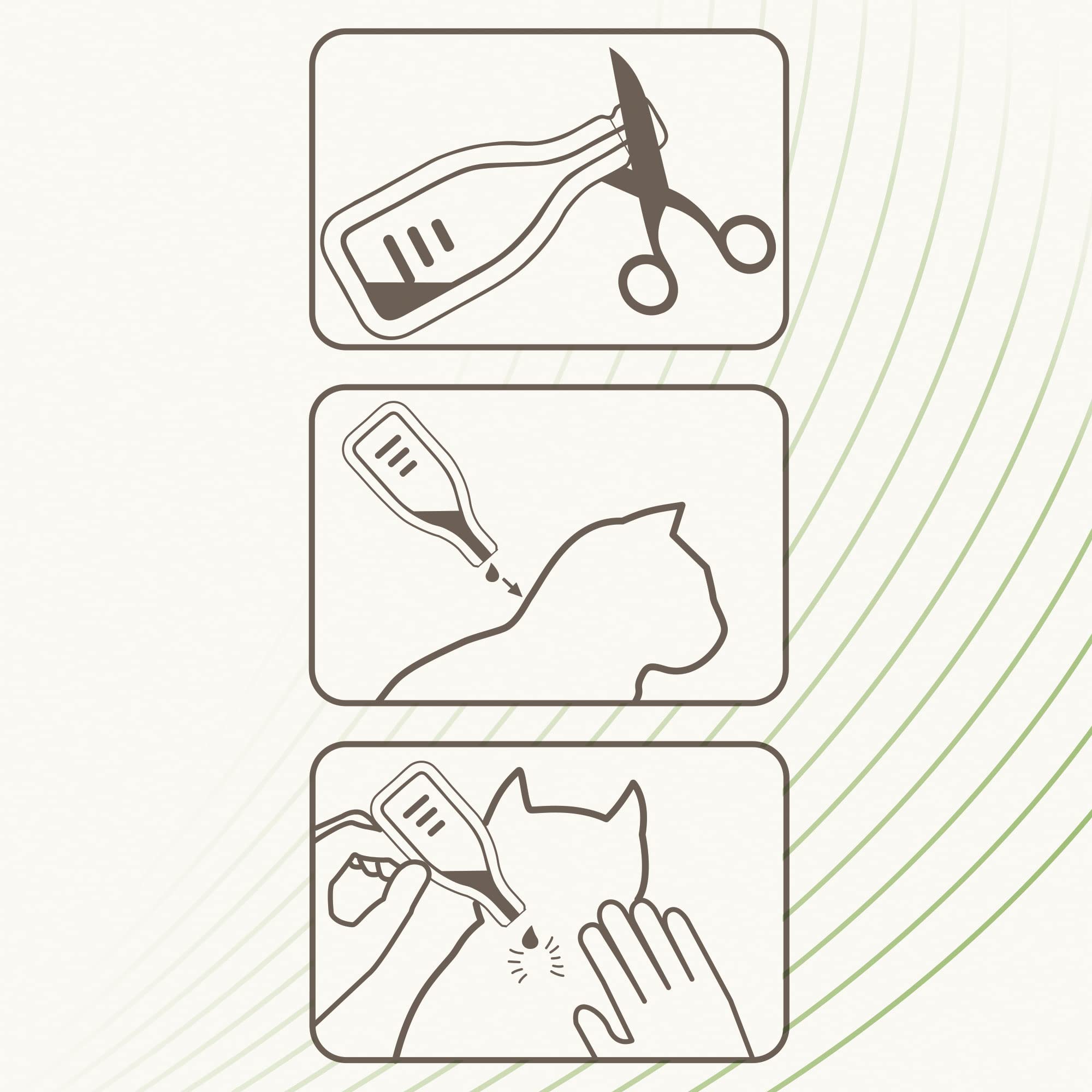 Beaphar Pipetas repelentes Naturales para Gatos - 3 Meses de protección Natural contra garrapatas, pulgas y Mosquitos - para Todo Tipo de Gatos - 3 pipetas de 1ml, El embalaje puede variar
