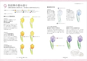 オリジナルキャラクター 色鉛筆画 2L判 Artline 色鉛筆 ＆ 水彩色鉛筆」発売 | シヤチハタ株式会社