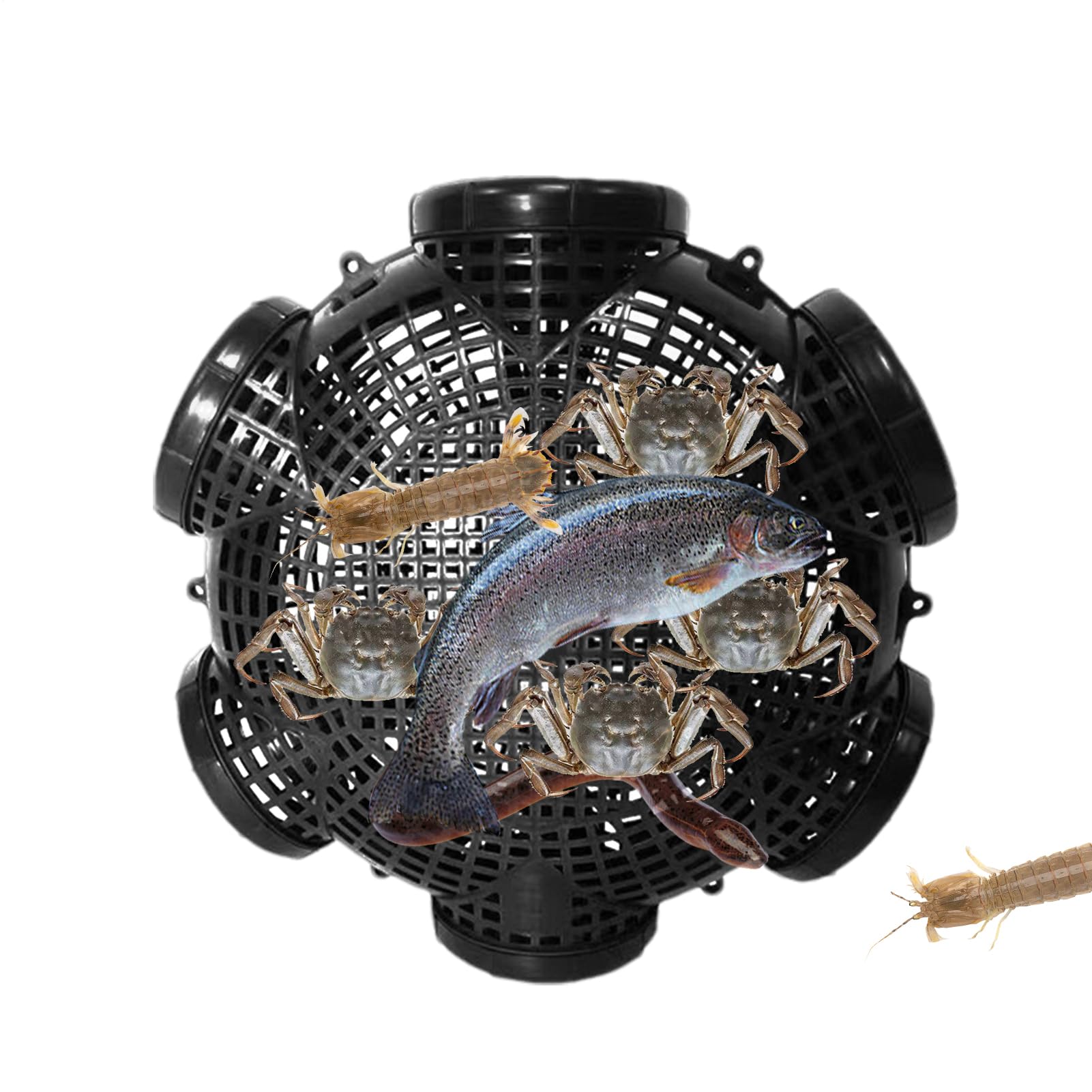 Trampa de Cangrejo Trampa de Cangrejo con Agujeros de Pescado Jaula de Captura de Pescado PP Portátil para Atrapar Langosta Cangrejos Arenques Camarones Peces Pequeños