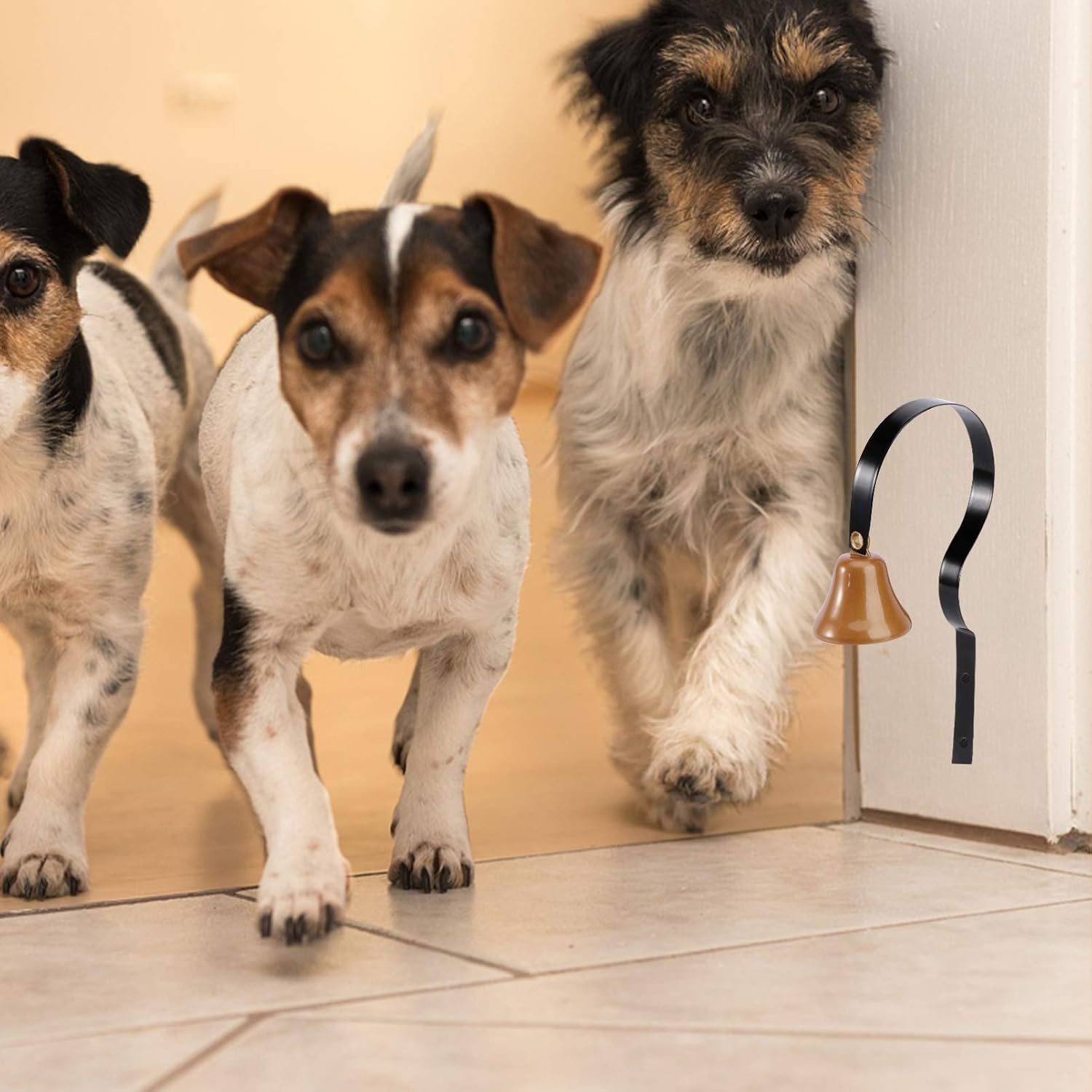 ibasenice Dog Doorbell Pet Neck Bell Housebreaking House Training Doorbells Dog Training Bell to Go Outside Dog Potty Training Bell Dog Bell Paw Bell Sleek Door Bell The Dog Small Brass Bell