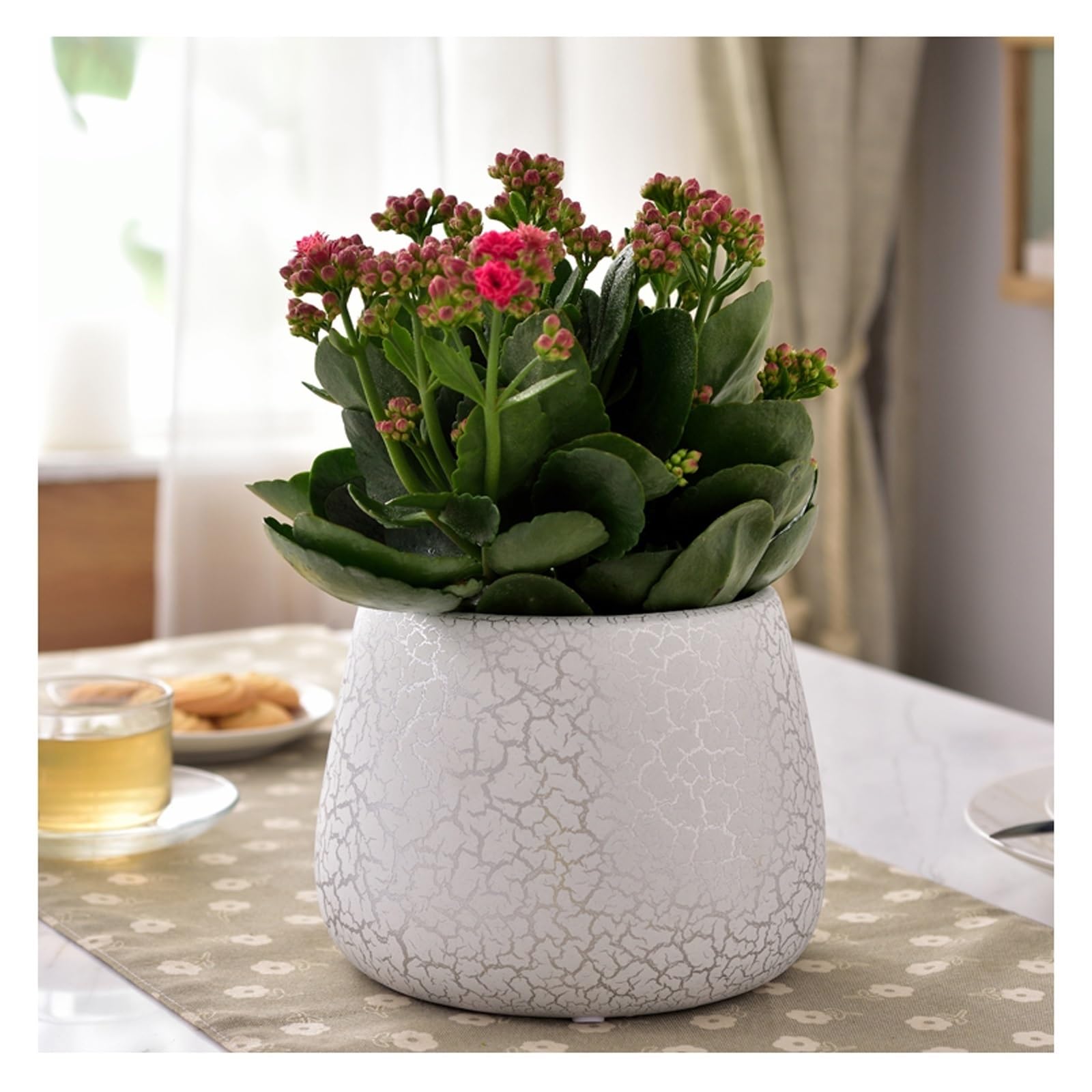 Gelasige B Flower Pots Indoor Decoration Ornament Flower Pot Ceramic Flower Pot Large Onsai Green Plant Alcony Flower Pot Outdoor Flower Pots(B)