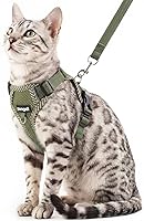 pangdi Escape Proof Cat Harness & Leash XL for Maine Coon - Breathable Adjustable Vest for Walking Travel, Dark Green