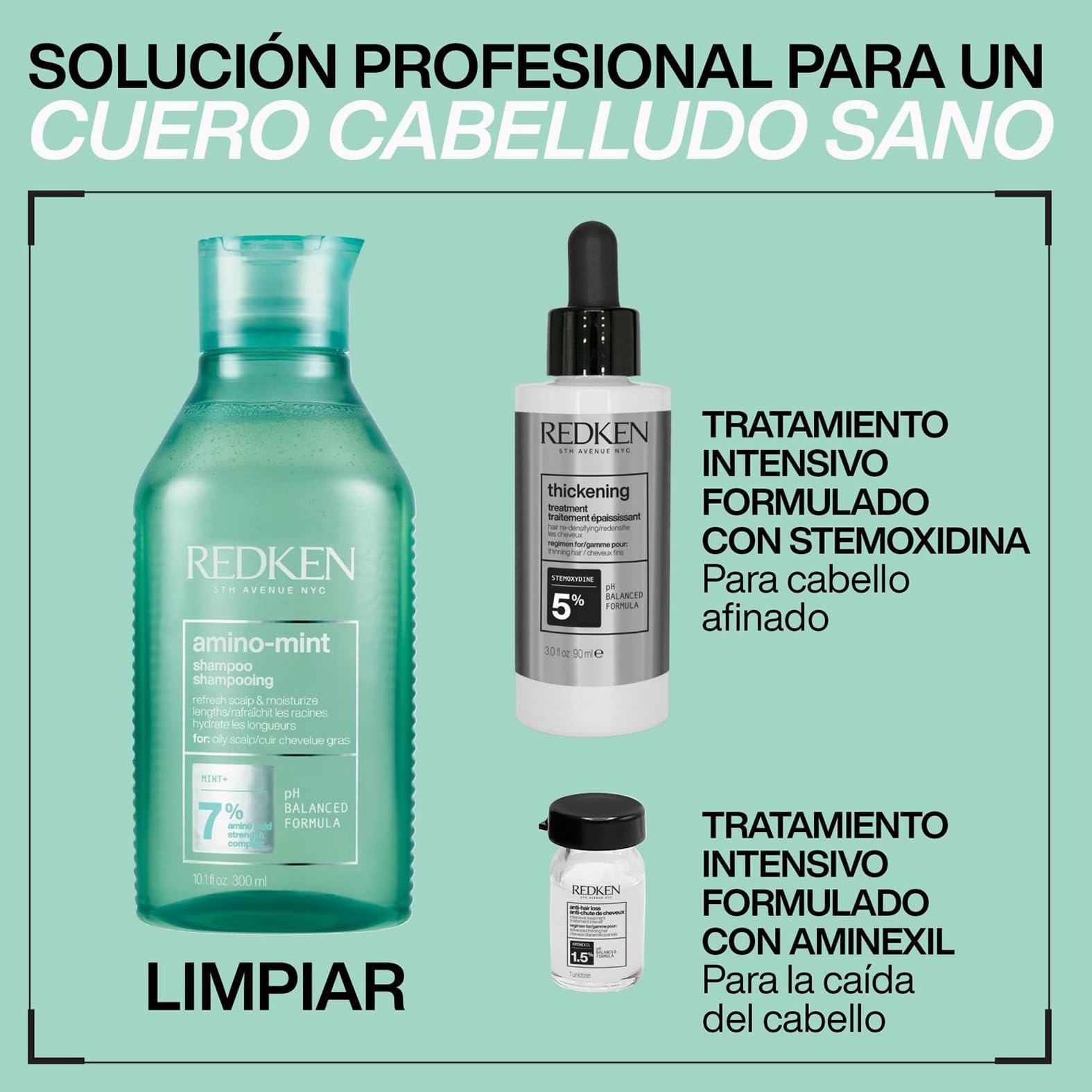 Redken Champú de Menta Anti Grasa 300 ml