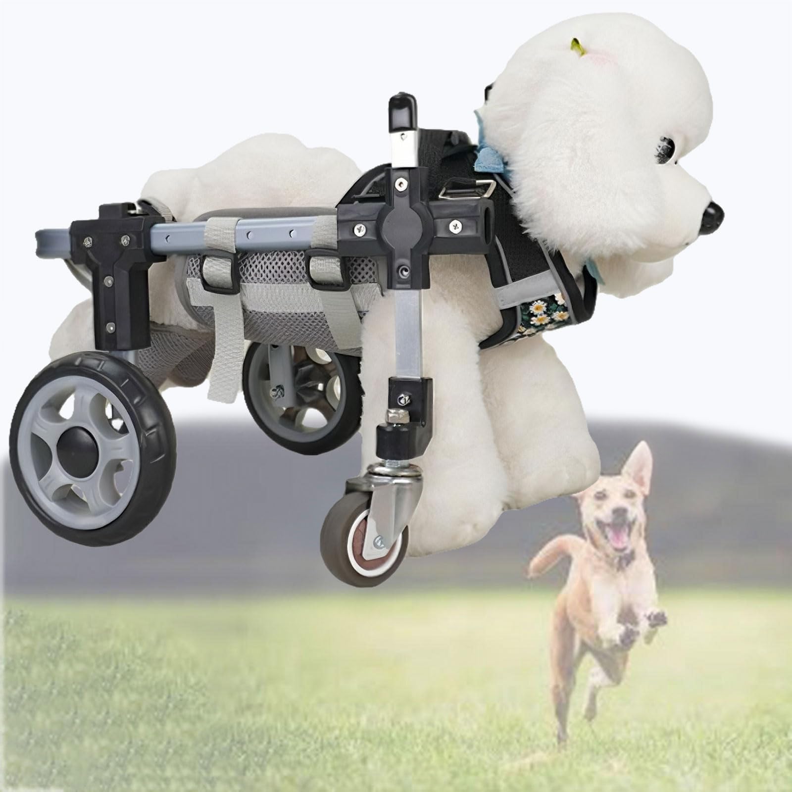 Silla de ruedas para mascotas que merecen volver a correr y jugar felices