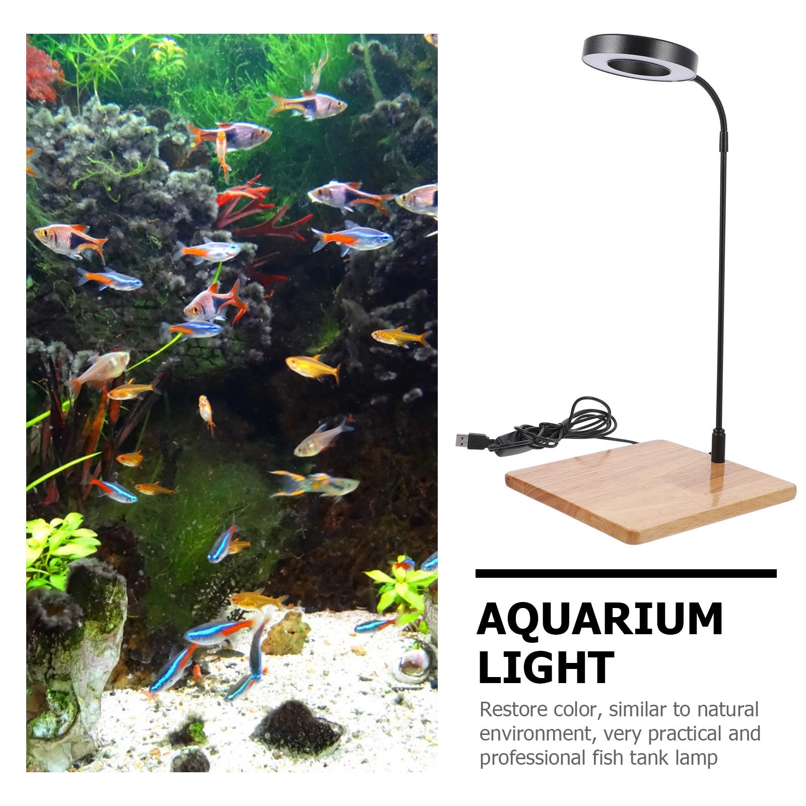 Lampe de Remplissage Lumineuse pour Aquarium 10 W Réglable en Aluminium