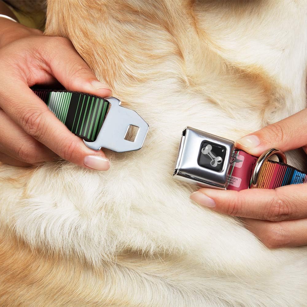 Dog Collar Seatbelt Buckle Zarape5 Vertical Multi Color Stripe 9 to 15 Inches 1.0 Inch Wide