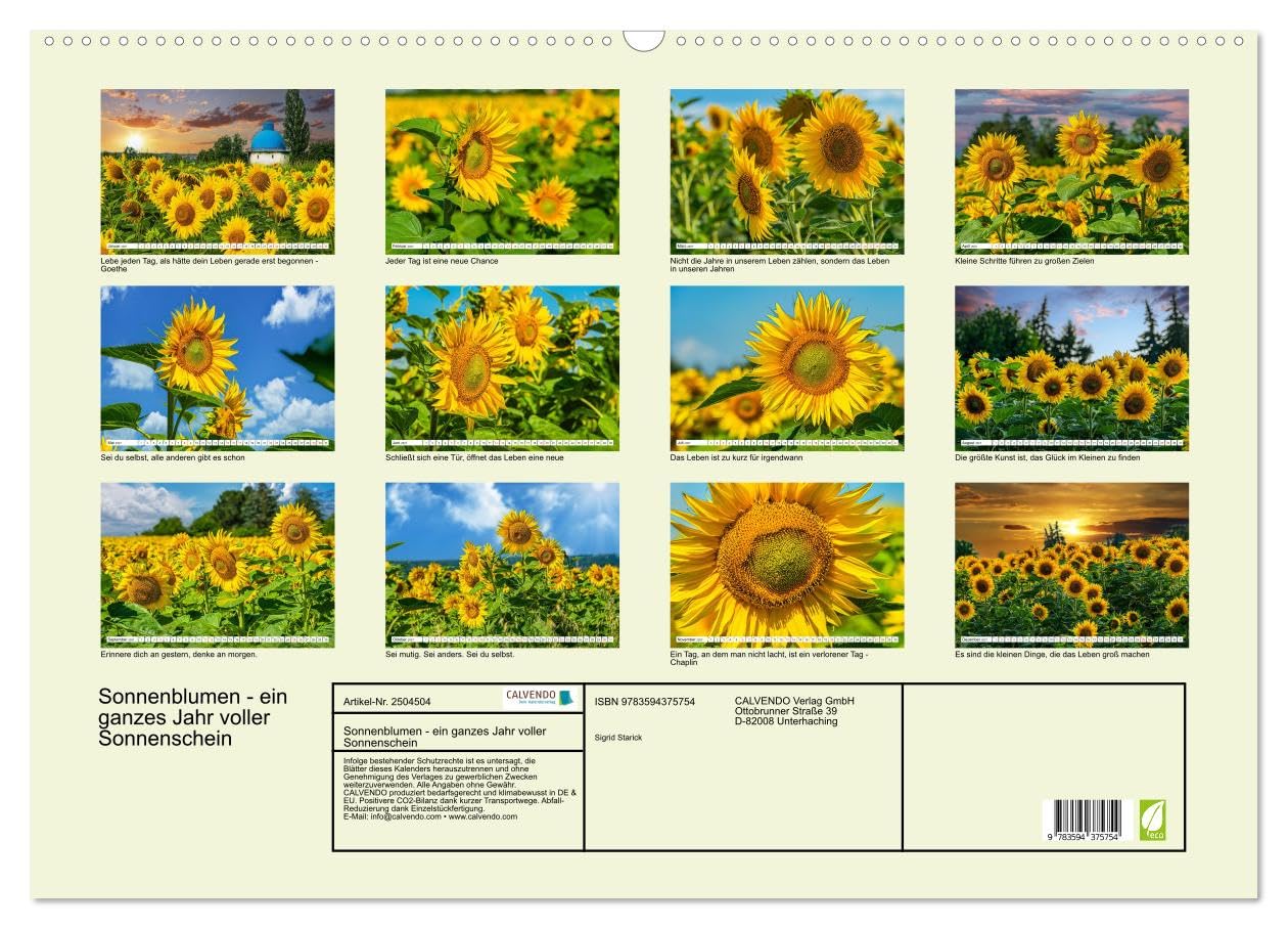 CALVENDO · Sonnenblumen - ein ganzes Jahr voller (Kalender 2027) | DIN A2 Querformat · Wandkalender · Sonnenschein · 13 wunderschöne Sonnenblumenfotos sorgen das ganze Jahr für gute Laune