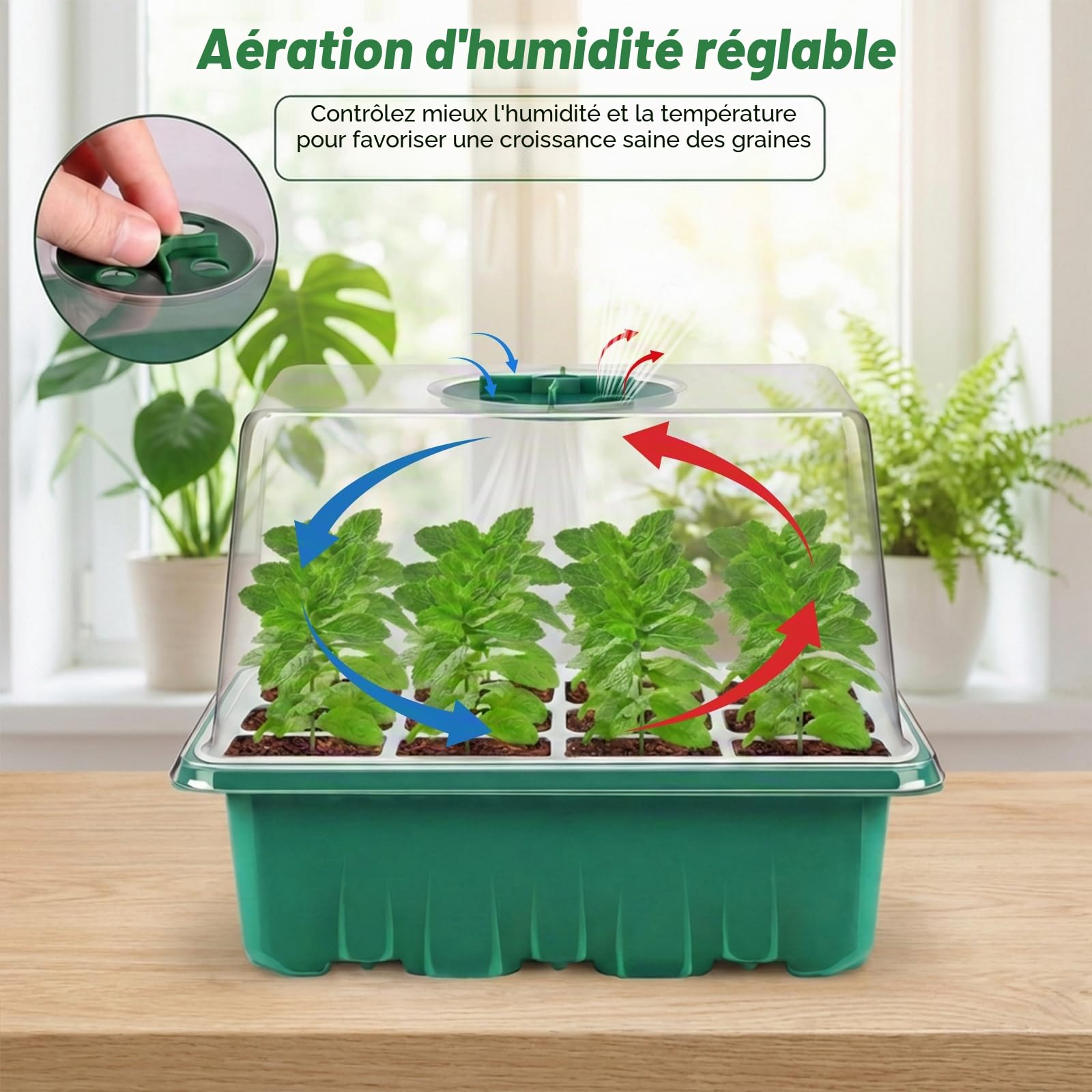 Verdenu Mini Serre pour Plantes, 10 Pièces 120 Cellules Plaque Semis, Serre Interieur avec couvercles rehaussés, Bac à semis Pépinière Boîte de Culture Durables, Hauteur du dôme d'humidité 8,4 cm