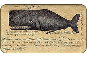 Whalecum Nautical Summer Doormat - The Gateway to Coastal Vibes