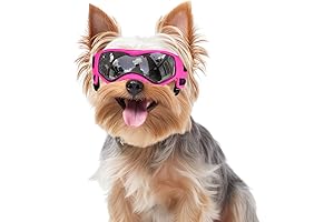 Dog Rex Specs: Small Pink Doggie Goggles