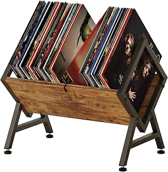 Vinyl Record Storage Holder, Space Saving Record Holder for 12 Inch Albums, Album Vinyl Record Holder Organizes & Protects Your Collection