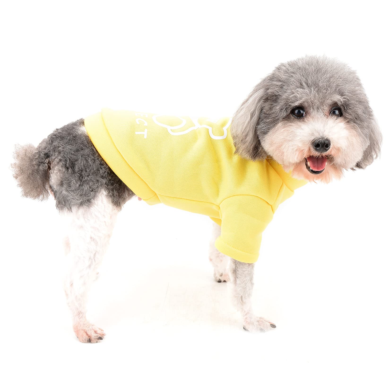 Ranphy Pet Clothes for Small Dogs Boy Girl Fall Winter Sweater Turtleneck Sweatshirt Puppy Cat Warm Coat T-Shirt Fashion Soft Puppy Outdoor Pullover,Yellow,S