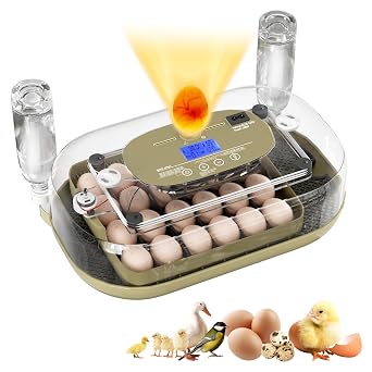 XOTTI Incubator for Hatching Eggs, 24 Egg Incubator with Precise Temperature Control, Auto Egg Turner, 360 Clear View, LED Candler, Alarm for Chicken Duck Quail Goose for Home School Farm Lab