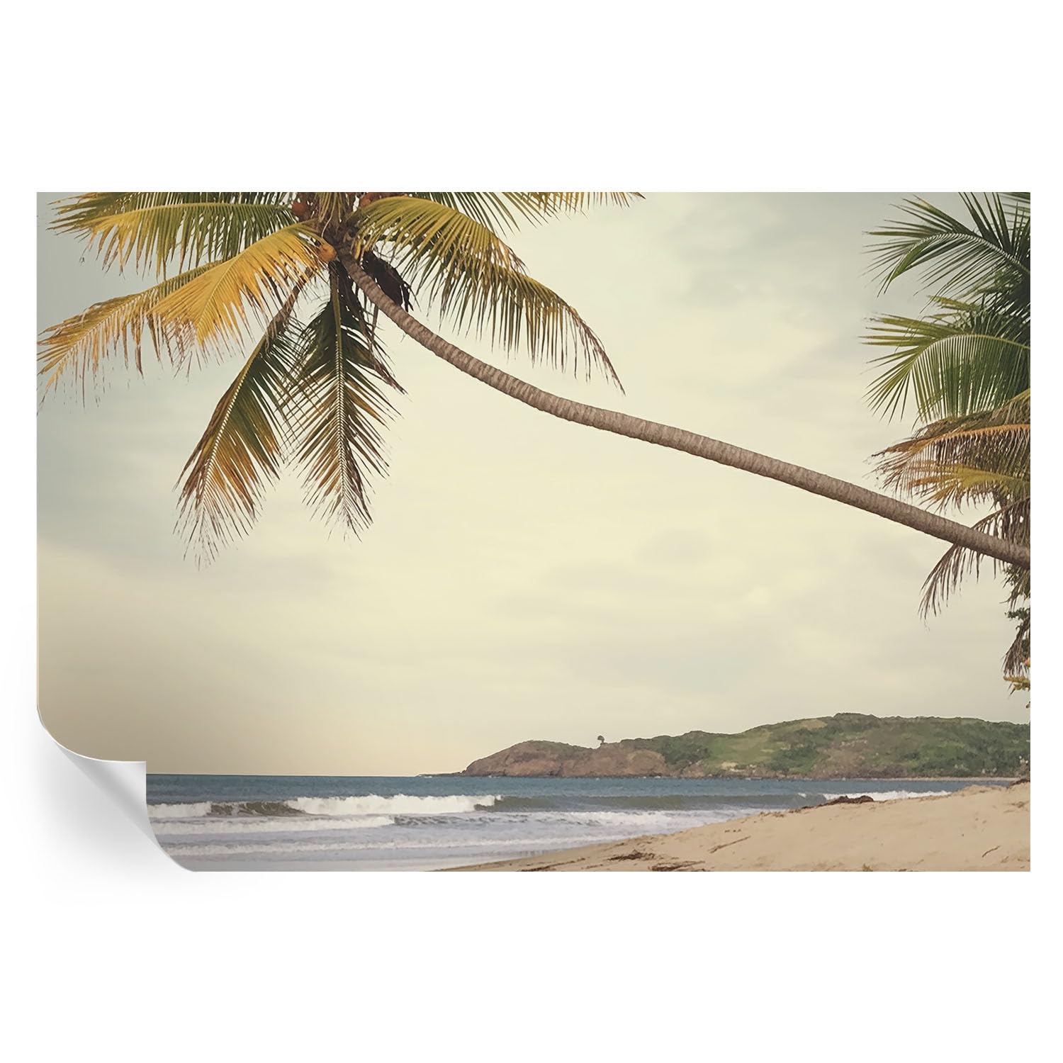 Vinilos decorativos de pared 152x104 cm rápidos de colocar