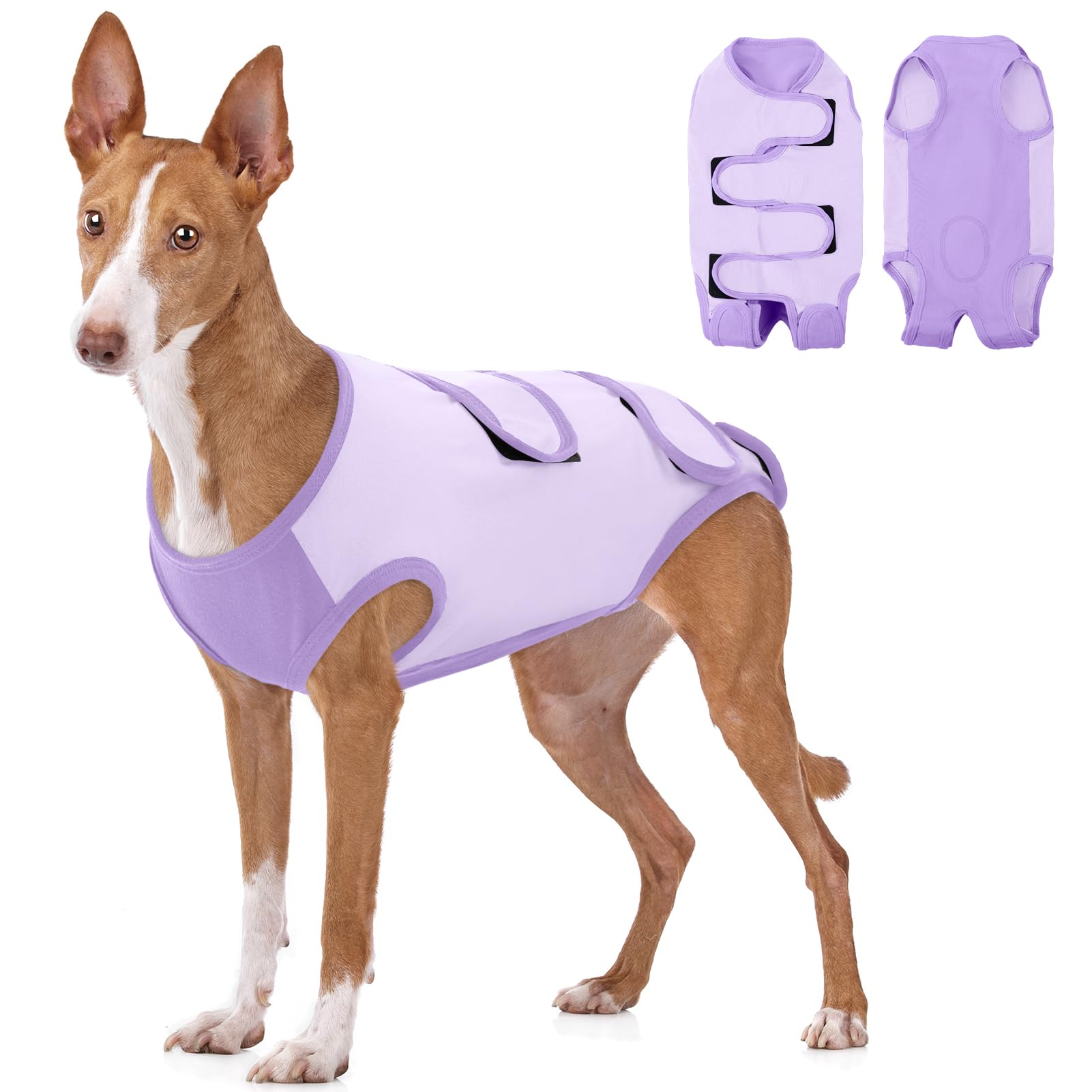 ASENKU Body Post Operatorio Cane Femmina Tutina Recupero Cane per Ferite Pigiama per Cani Protezione Postoperatoria Vestito Cane Colletto Alternativo Dopo l'intervento Chirurgico
