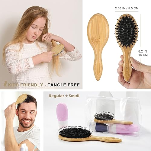 Miniatura 5 de BESTOOL Cepillo de pelo (regular y pequeño), cepillos de cerdas de jabalí para mujeres, hombres y niños, cabello grueso y fino y rizado, cepillo