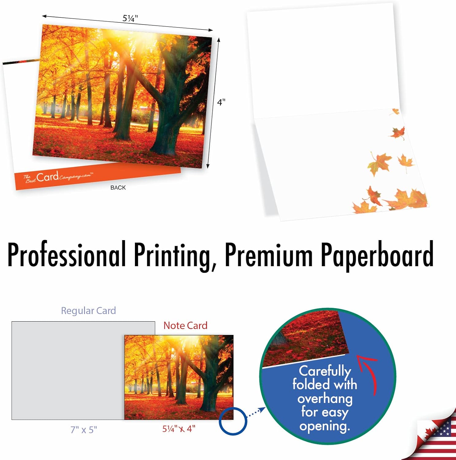 The Best Card Company - 10 Beautiful Note Cards Blank (4 x 5.12 Inch) - Fall and Autumn Season, Boxed Notecard Assortment - Fall Foliage M4971OCB-B1x10 - Image 2