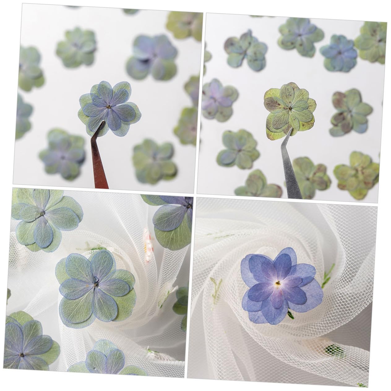 DECHOUS 5 Sets Handgefertigtes Bastelset Mit Getrockneten Blumen Mini-gepresste Blumen Für Harzprägung Dekorelemente 30 Stück * 5