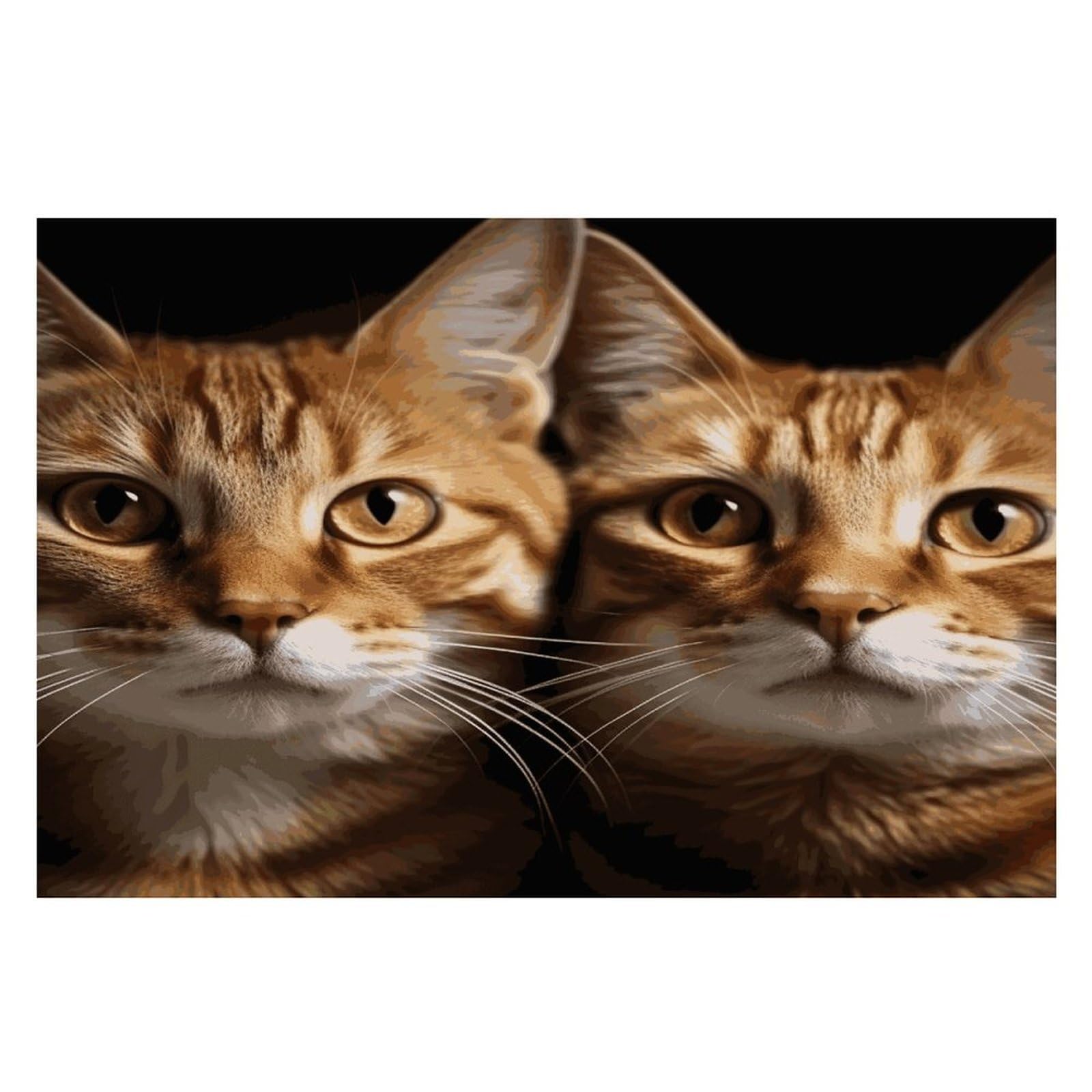 Cats Placemats Heat-Resistant Washable Place Mats Anti Slip Dining Table Place Mats Wipeable Dining Table Mats Kitchen Decoration Placemats 17.7’’×11.8’’